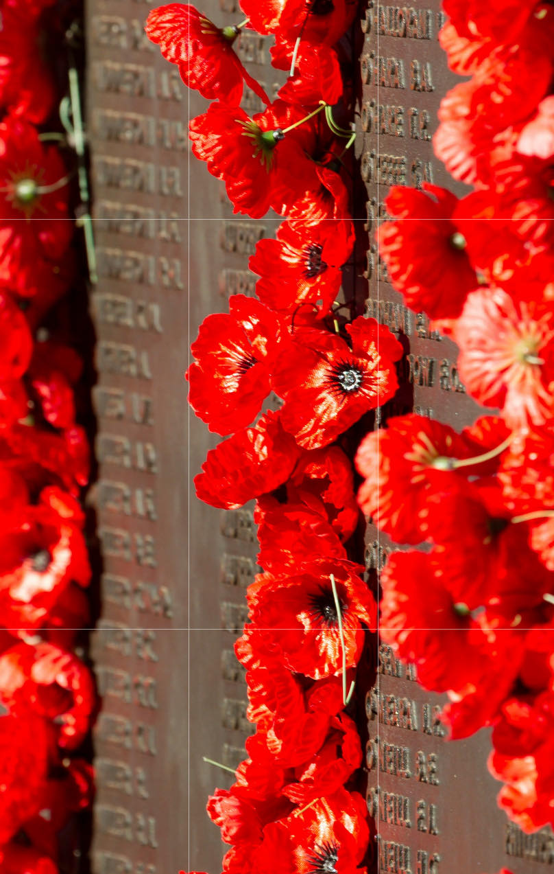 Sympathy / Memorial Wreaths - suitable for a Natural Burial