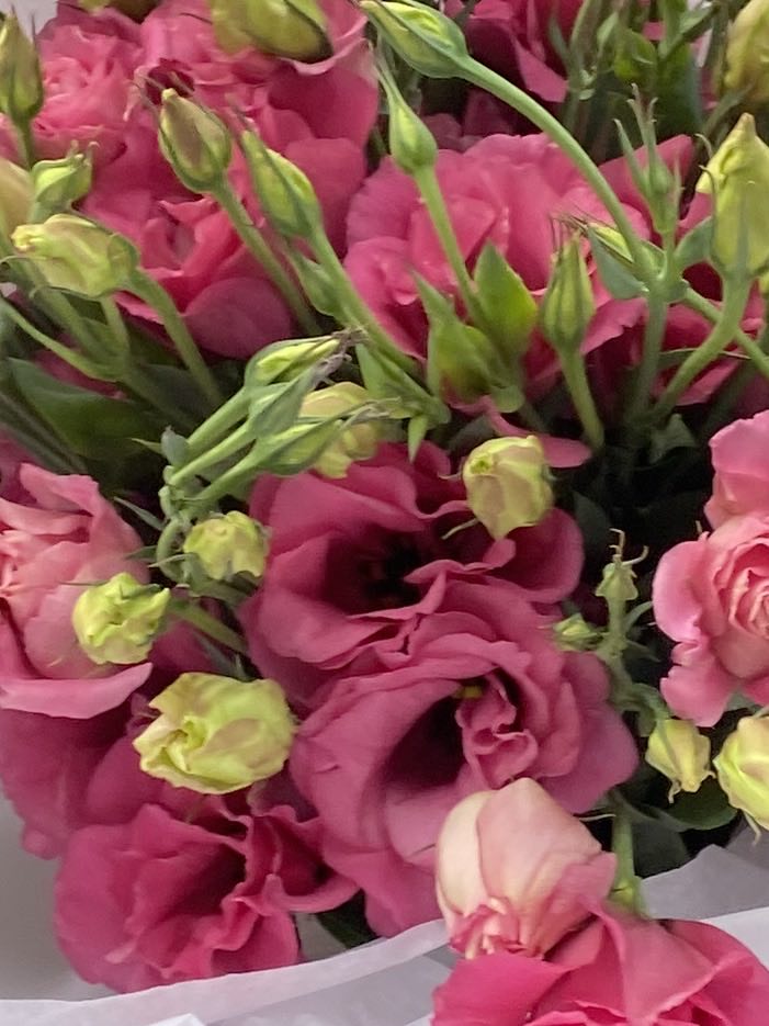 Thanks A Bunch  - Florists choice of the most gorgeous flowers (single variety of flower)