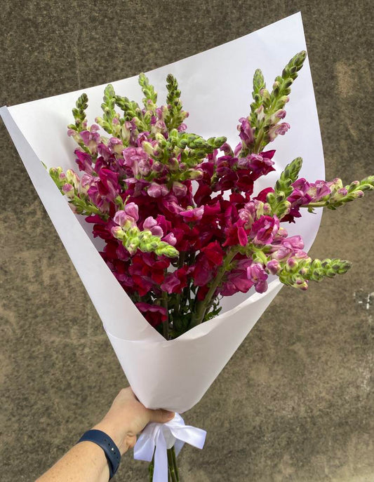 Thanks A Bunch  - Florists choice of the most gorgeous flowers (single variety of flower)
