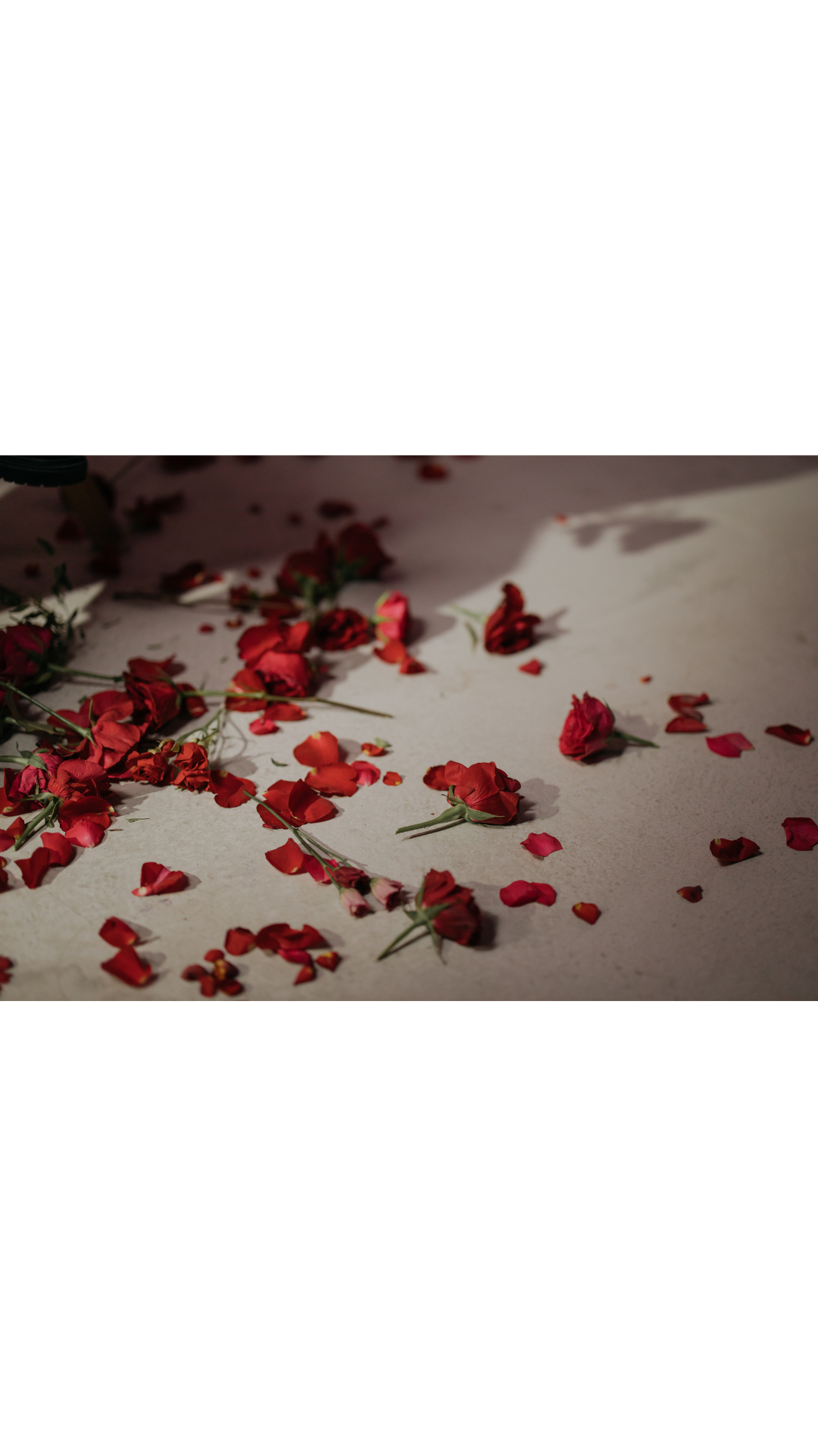 Wedding Confetti - Fresh Rose Petals