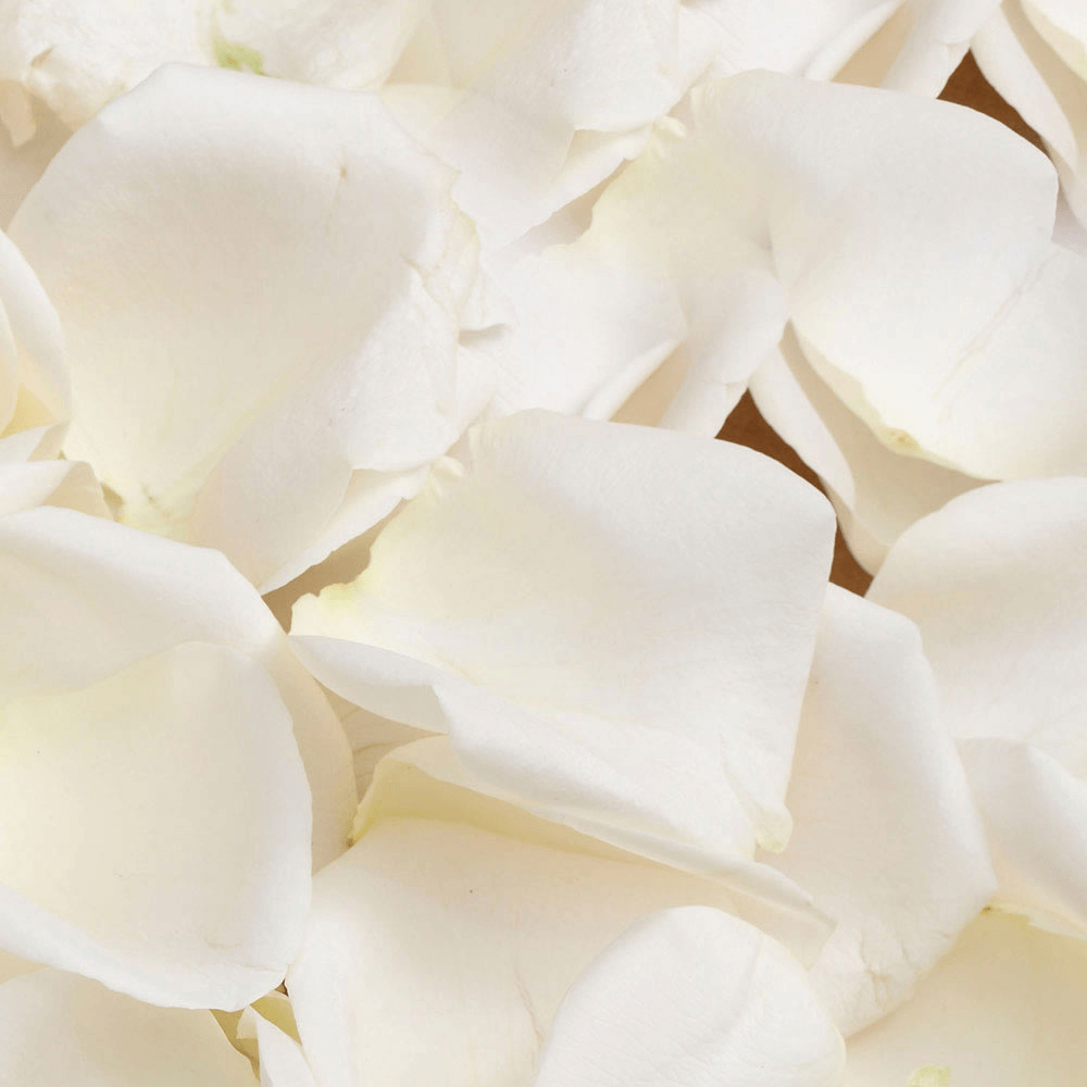 Committal Flowers - Fresh Rosemary & Petals