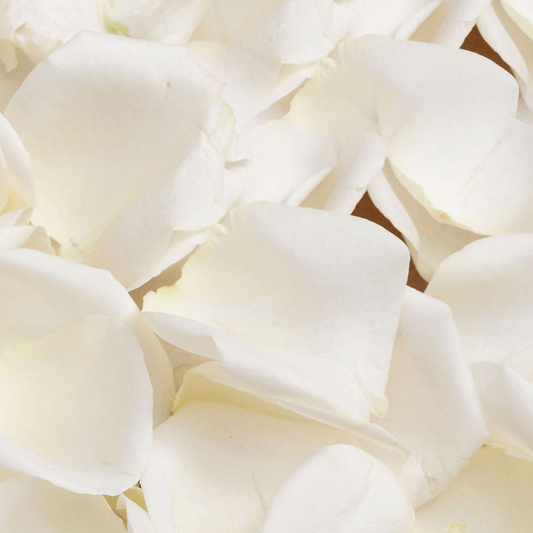 Wedding Confetti - Fresh Rose Petals